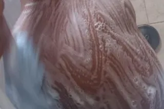 Pretty Face 😍 Thick Booty 🍑 Sl... - Image 4